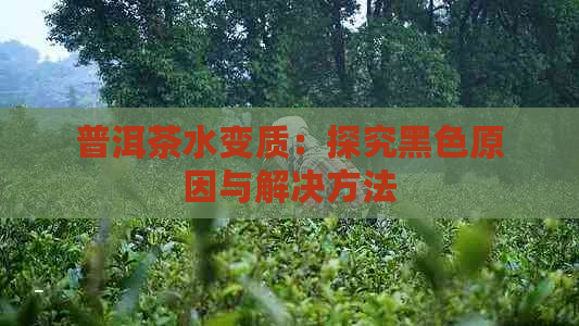 普洱茶水变质：探究黑色原因与解决方法