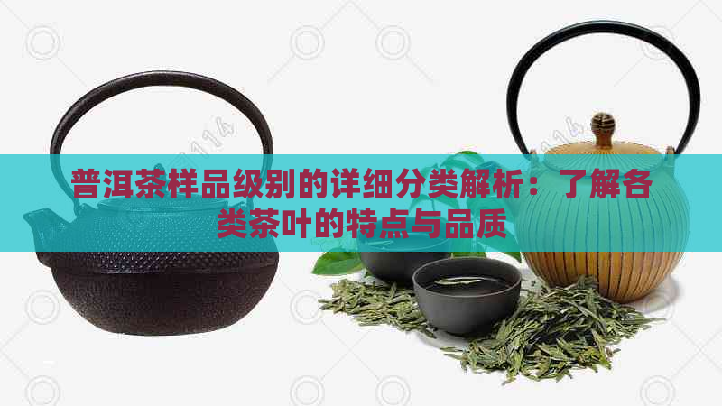 普洱茶样品级别的详细分类解析：了解各类茶叶的特点与品质