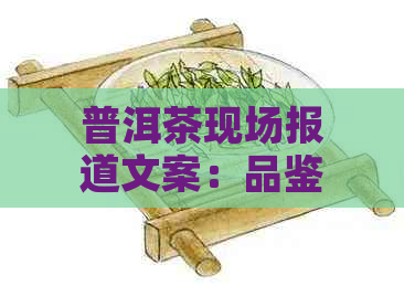 普洱茶现场报道文案：品鉴魅力，传承文化