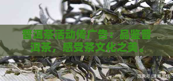 普洱茶活动传广告：品鉴普洱茶，感受茶文化之美。