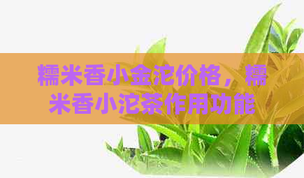 糯米香小金沱价格，糯米香小沱茶作用功能及普洱茶价格。