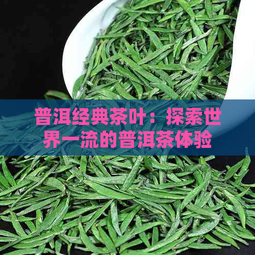 普洱经典茶叶：探索世界一流的普洱茶体验与专业品质保证