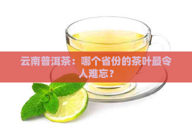 云南普洱茶：哪个省份的茶叶最令人难忘？