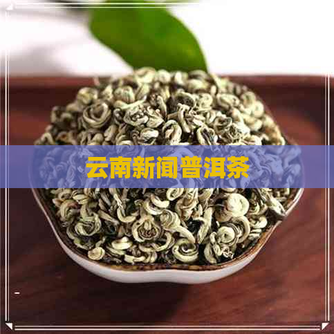 云南新闻普洱茶