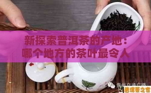 新探索普洱茶的产地：哪个地方的茶叶最令人醉？