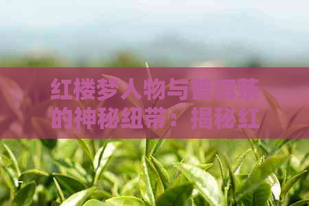 红楼梦人物与普洱茶的神秘纽带：揭秘红楼们中的普洱茶之谜