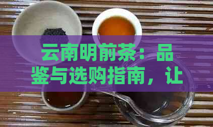 云南明前茶：品鉴与选购指南，让你成为专业的茶叶爱好者