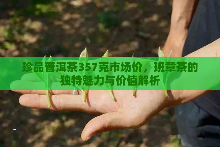 珍品普洱茶357克市场价，班章茶的独特魅力与价值解析