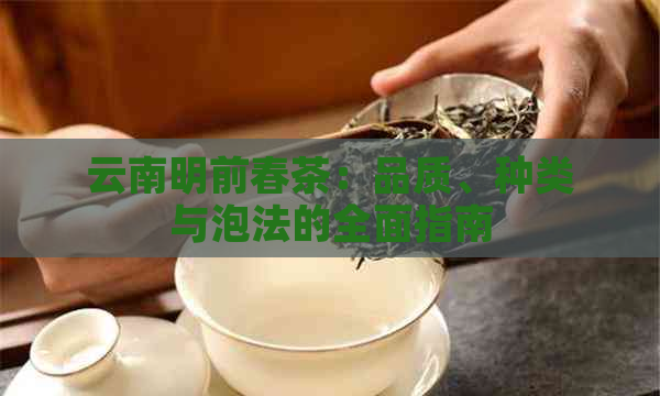 云南明前春茶：品质、种类与泡法的全面指南