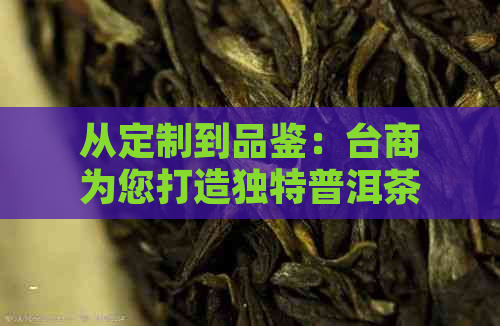 从定制到品鉴：台商为您打造独特普洱茶体验