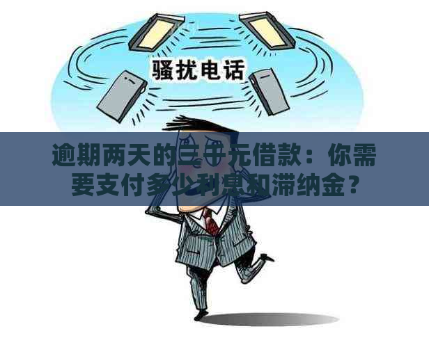 逾期两天的三千元借款：你需要支付多少利息和滞纳金？