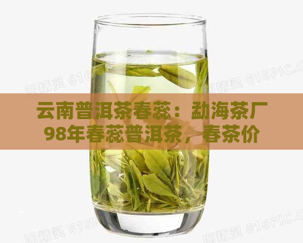 云南普洱茶春蕊：勐海茶厂98年春蕊普洱茶，春茶价格查询