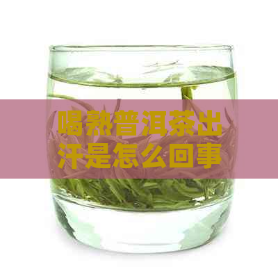 喝熟普洱茶出汗是怎么回事：探讨普洱茶对身体的影响及出汗原因