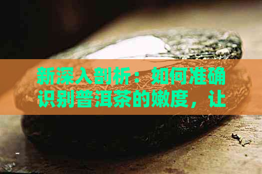 新深入剖析：如何准确识别普洱茶的嫩度，让你品鉴更上一层楼