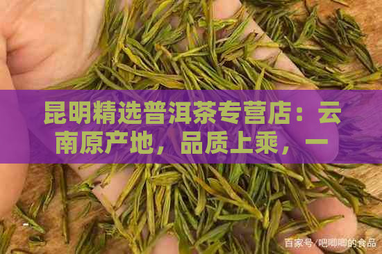 昆明精选普洱茶专营店：云南原产地，品质上乘，一键购足