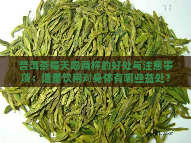 普洱茶每天喝两杯的好处与注意事项：适量饮用对身体有哪些益处？