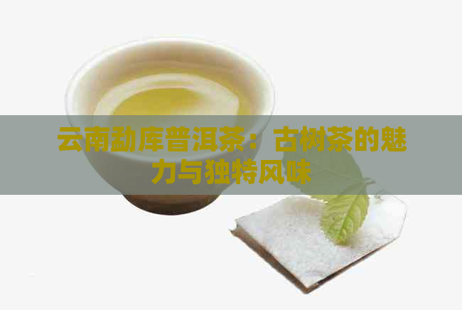 云南勐库普洱茶：古树茶的魅力与独特风味