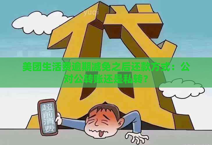 美团生活费逾期减免之后还款方式：公对公转账还是私转？