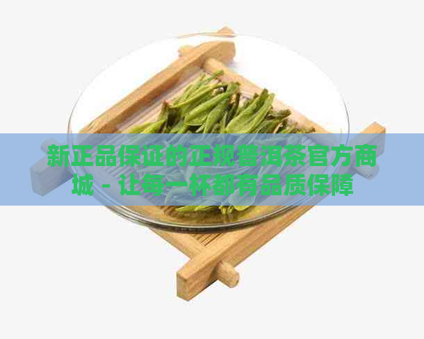 新正品保证的正规普洱茶官方商城 - 让每一杯都有品质保障