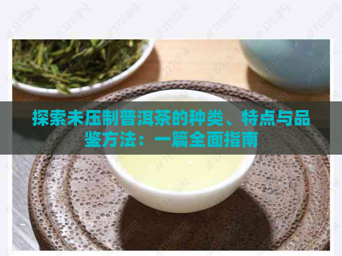 探索未压制普洱茶的种类、特点与品鉴方法：一篇全面指南