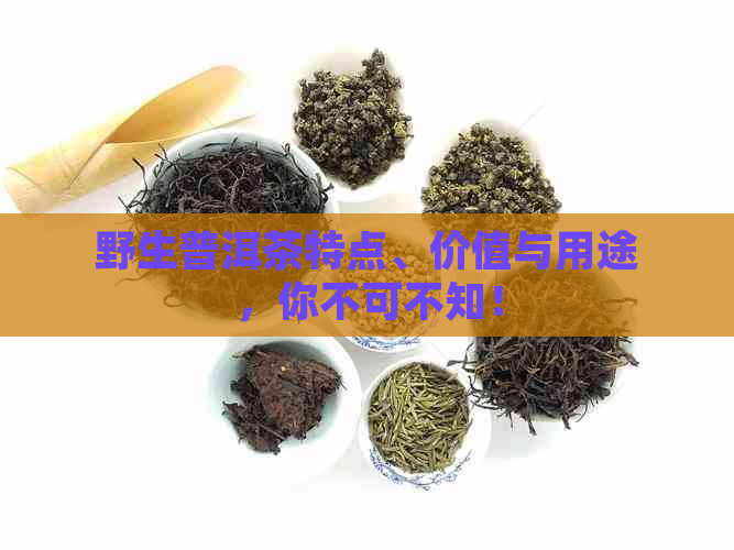 野生普洱茶特点、价值与用途，你不可不知！