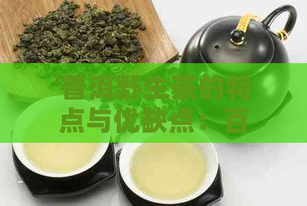 '普洱野生茶的特点与优缺点：百度百科揭示其独特魅力'