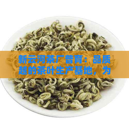 新云河茶厂普育：品质越的茶叶生产基地，为您带来全面的茶文化体验