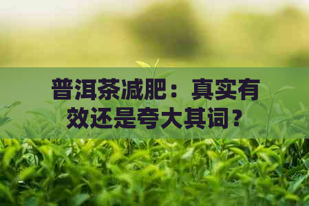 普洱茶减肥：真实有效还是夸大其词？