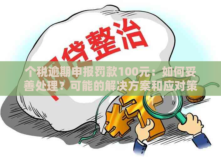 个税逾期申报罚款100元：如何妥善处理？可能的解决方案和应对策略全解析