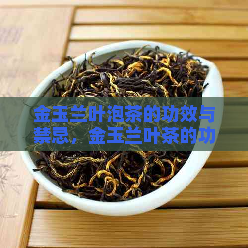 金玉兰叶泡茶的功效与禁忌，金玉兰叶茶的功效与作用