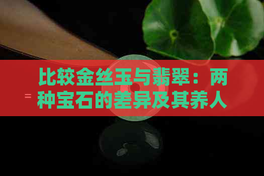 比较金丝玉与翡翠：两种宝石的差异及其养人功效