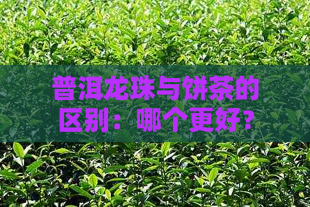 普洱龙珠与饼茶的区别：哪个更好？