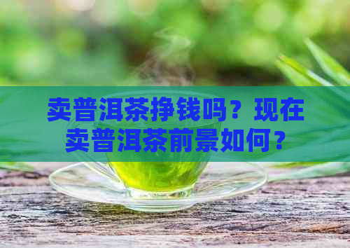 卖普洱茶挣钱吗？现在卖普洱茶前景如何？