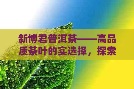 新博君普洱茶——高品质茶叶的实选择，探索市场价格趋势