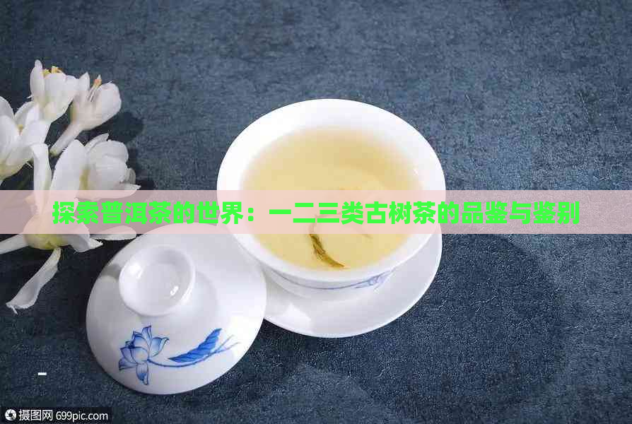 探索普洱茶的世界：一二三类古树茶的品鉴与鉴别