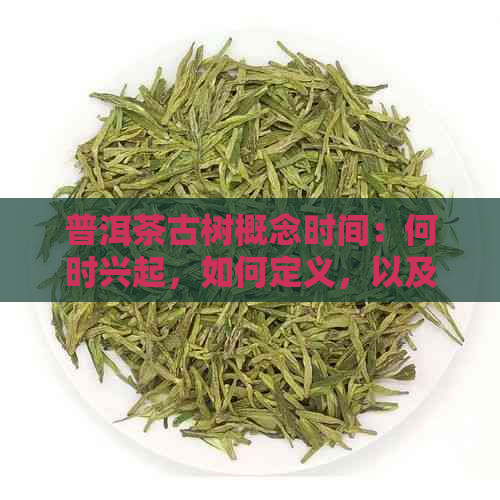 普洱茶古树概念时间：何时兴起，如何定义，以及其重要性