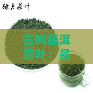 古树普洱茶叶：品种、产地、制作工艺、口感、功效与泡茶方法全面解析