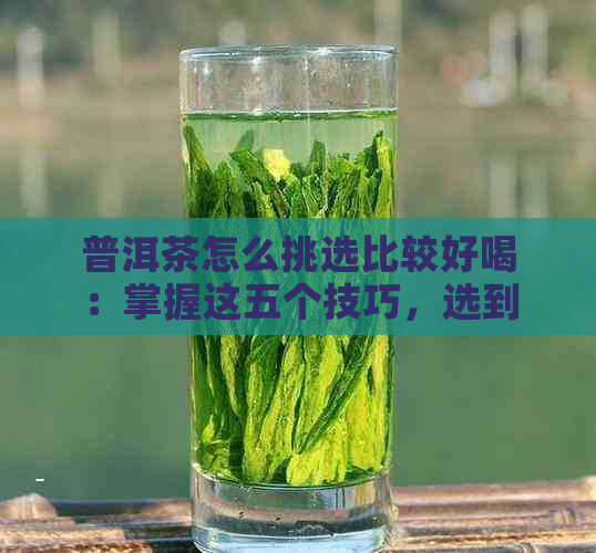 普洱茶怎么挑选比较好喝：掌握这五个技巧，选到好茶不再难