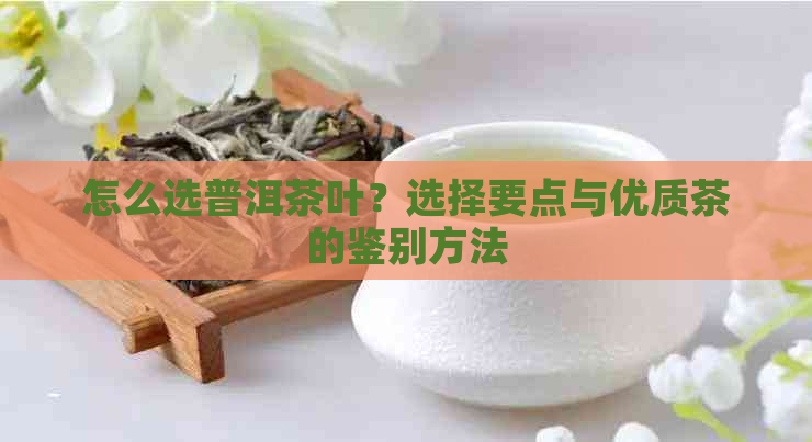 怎么选普洱茶叶？选择要点与优质茶的鉴别方法