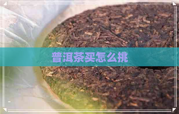 普洱茶买怎么挑