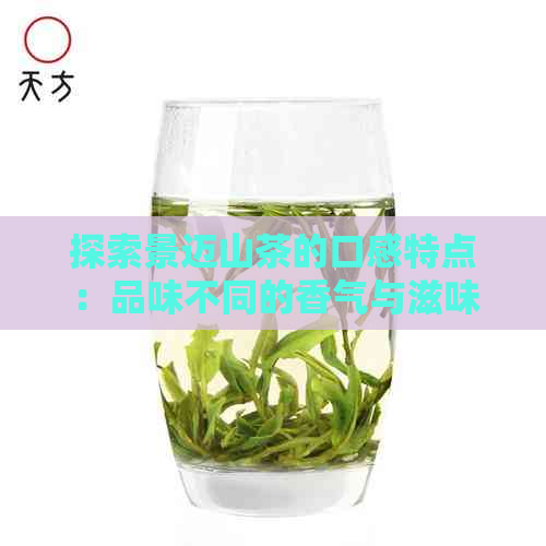 探索景迈山茶的口感特点：品味不同的香气与滋味