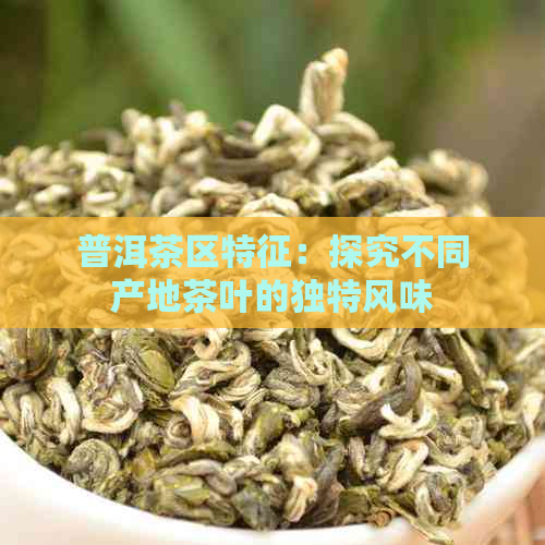 普洱茶区特征：探究不同产地茶叶的独特风味