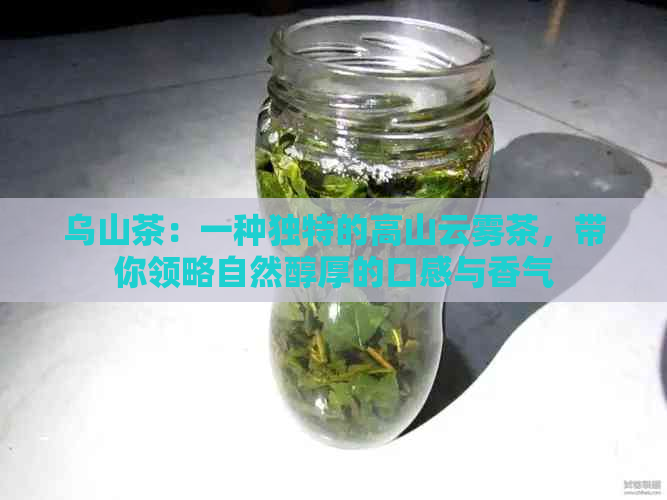 乌山茶：一种独特的高山云雾茶，带你领略自然醇厚的口感与香气