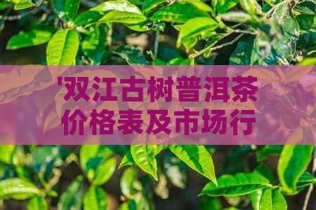 '双江古树普洱茶价格表及市场行情'