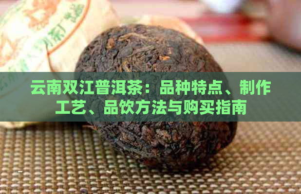 云南双江普洱茶：品种特点、制作工艺、品饮方法与购买指南