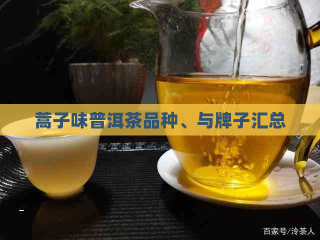 蒿子味普洱茶品种、与牌子汇总