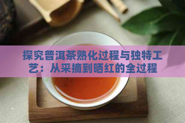 探究普洱茶熟化过程与独特工艺：从采摘到晒红的全过程