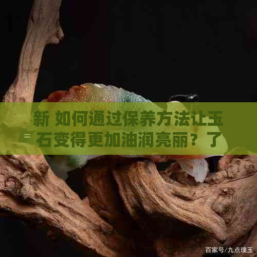 新 如何通过保养方法让玉石变得更加油润亮丽？了解这些技巧就对了！