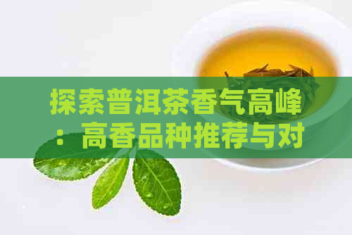 探索普洱茶香气高峰：高香品种推荐与对比