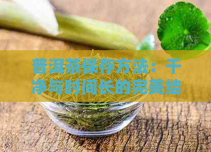 普洱茶保存方法：干净与时间长的完美结合